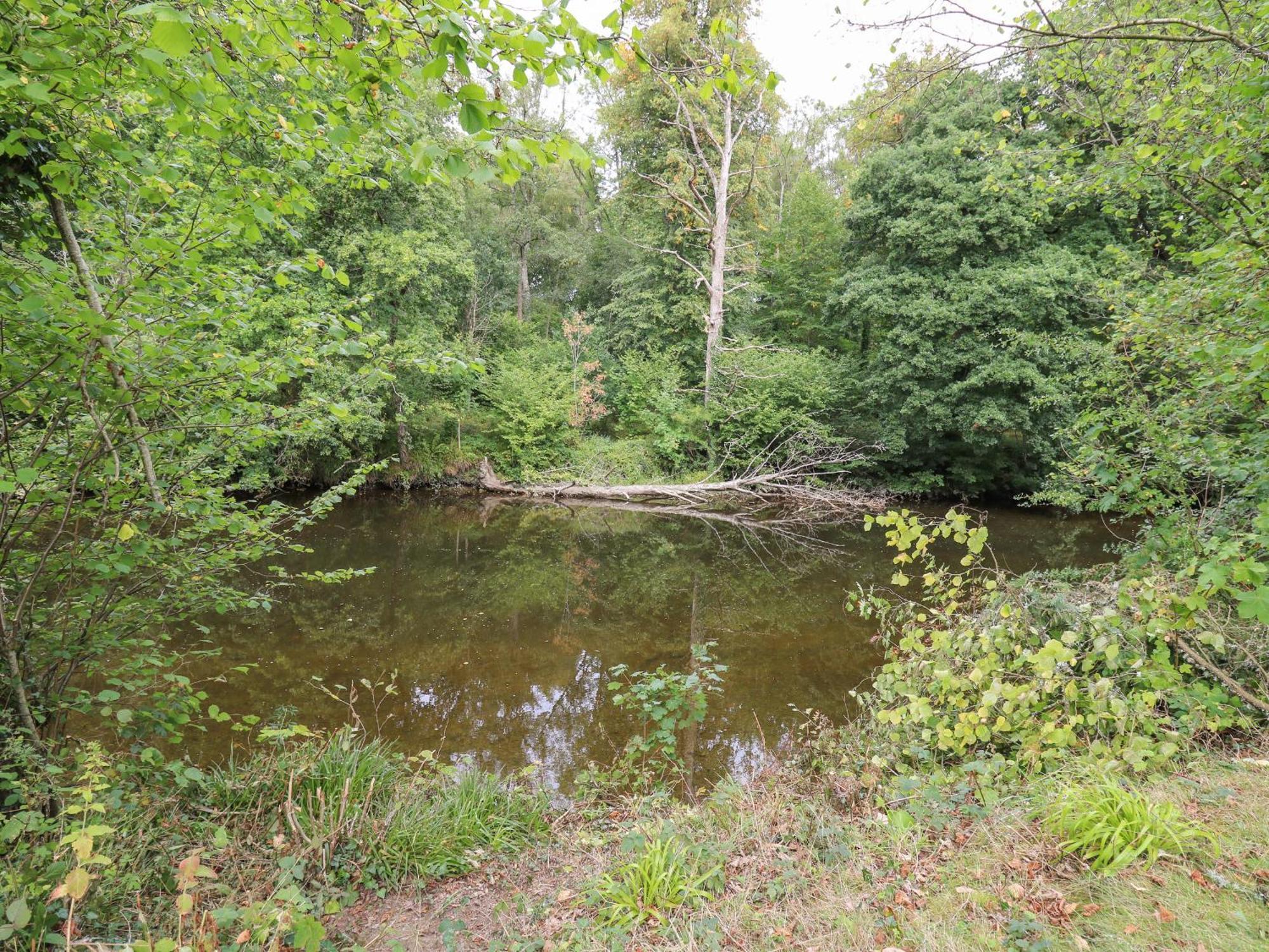 Riverside Rest Builth Wells Bagian luar foto